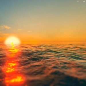 Schermafbeelding 2024 10 31 135610