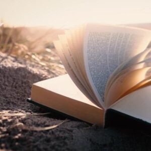 Schermafbeelding 2024 10 31 141849