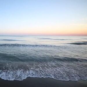 Schermafbeelding 2024 10 31 141932