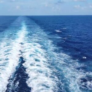 Schermafbeelding 2024 10 31 142003