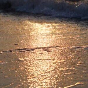 Schermafbeelding 2024 10 31 142040