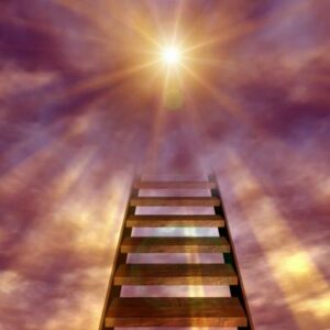 Schermafbeelding 2024 10 31 170221