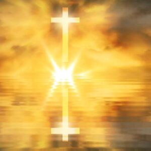 Schermafbeelding 2024 10 31 170325