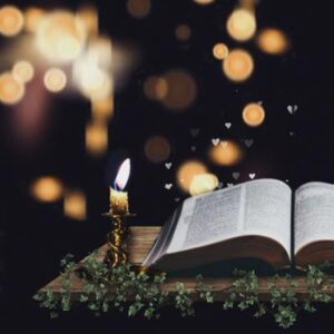 Schermafbeelding 2024 10 31 170408