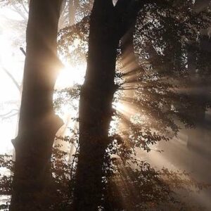 Schermafbeelding 2024 11 04 092349