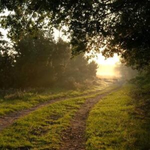 Schermafbeelding 2024 11 04 092409