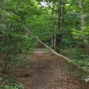 Schermafbeelding 2024 11 04 092434