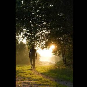 Schermafbeelding 2024 11 04 092455