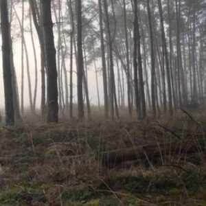 Schermafbeelding 2024 11 04 092514