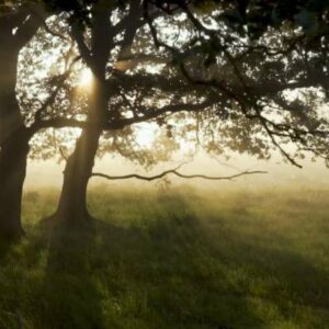 Schermafbeelding 2024 11 04 092528