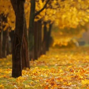 Schermafbeelding 2024 11 04 092544