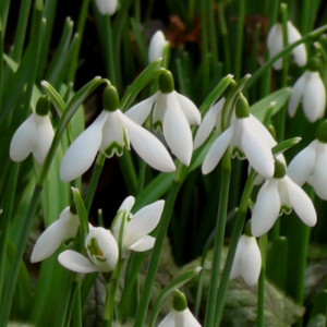 Schermafbeelding 2024 11 04 095641