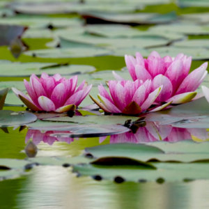 Schermafbeelding 2024 11 04 095821