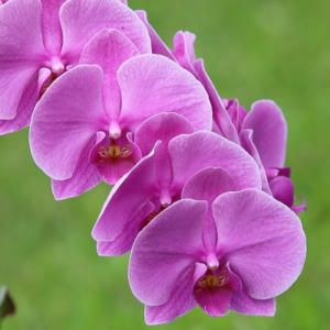 Schermafbeelding 2024 11 04 095851