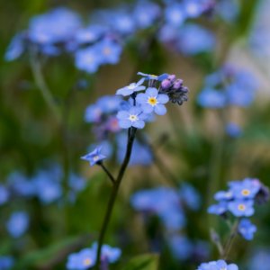 Schermafbeelding 2024 11 04 095917